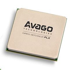 1687855983830372.jpg PEX8734.jpg